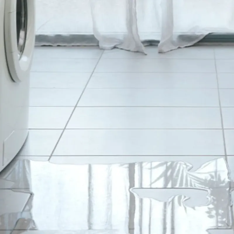 Appliance Leak Cleanup in Edina, MO