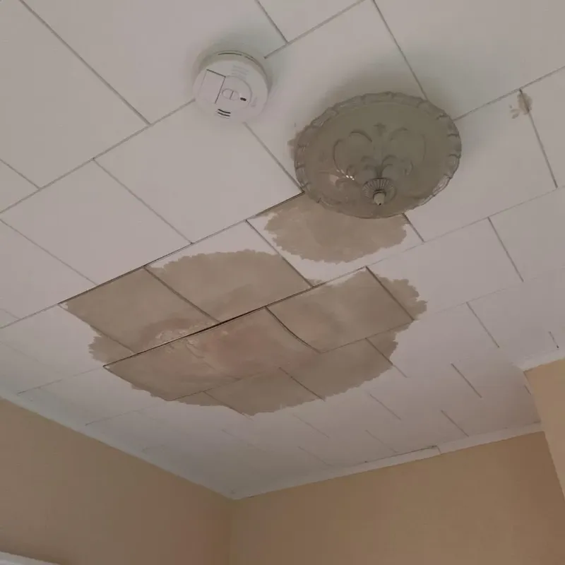 Ceiling Water Damage Repair in Edina, MO