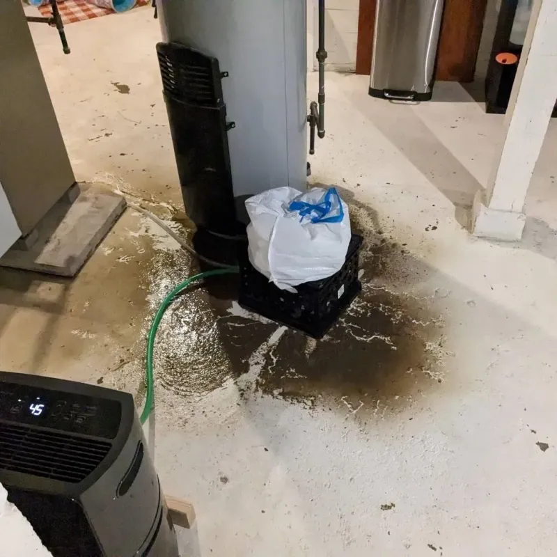 Sewage Backup Cleanup Service in Edina, MO